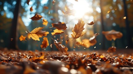 Captured in a sunlit forest, autumn leaves dance gracefully in the air, signifying the beauty of change and the fleeting moments of the fall season.