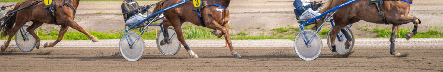 Equestrian sport. Horizontal photo banner. Copy space for your text. Horses compete in harness...