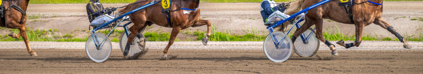 Equestrian sport. Horizontal photo banner. Copy space for your text. Horses compete in harness...