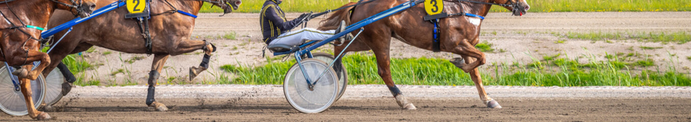 Equestrian sport. Horizontal photo banner. Copy space for your text. Horses compete in harness...