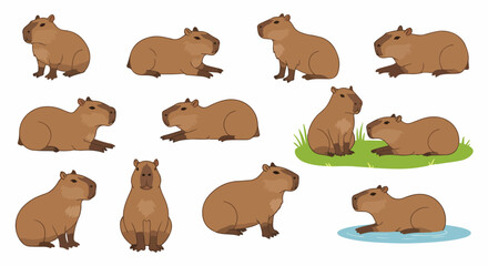 Capybara Hydrochoerus hydrochaeris illustration set. Capybara poses collection shows rodent in various positions.  Capybara image set ideal for children's book, nature encyclopedia,