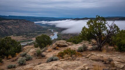 Misty canyon rim with distant river below