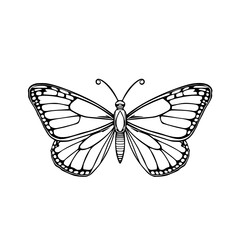 Monarch Butterfly Line Art: A detailed black and white illustration of a monarch butterfly, showcasing its intricate wing patterns and elegant form against a white background.