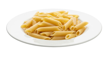 Isolated Penne Pasta on Plate
