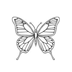Elegant Butterfly Line Art: A detailed black and white illustration of a butterfly, showcasing intricate wing details and delicate lines against a white background.
