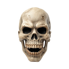 Obraz premium Realistic Human Skull Model Isolated on White Background for Medical and Educational Purposes Transparent background or PNG