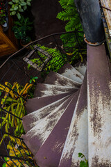 The weathered spiral staircase from the top has worn steps and a rustic look, surrounded by foliage. The aged surface of the metal and wood railing adds a sense of history and character, contrasting b