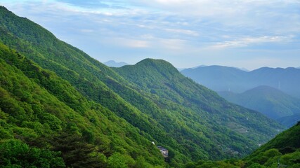 Beautiful Spring Scenery in Korea