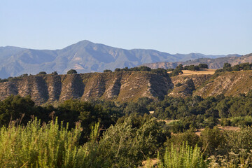 Mountain Ridge with Oak Trees and Blue Sky
