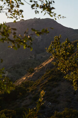 Mountain Ridge with Oak Trees and Blue Sky
