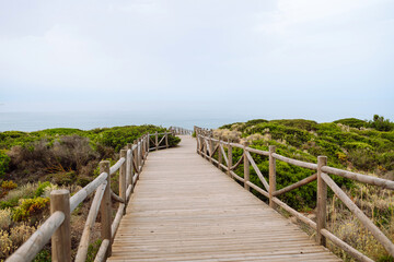 Wooden path through vibrant greenery leading to a calm sea. Long bridge to nature with sea and mountain views. Concept of nature, tranquility and peace.