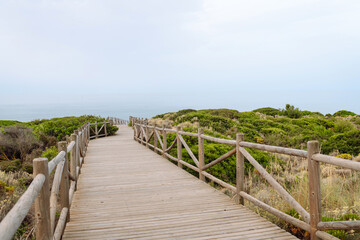 Wooden path through vibrant greenery leading to a calm sea. Long bridge to nature with sea and...