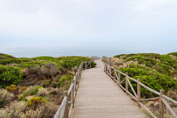 Wooden path through vibrant greenery leading to a calm sea. Long bridge to nature with sea and...