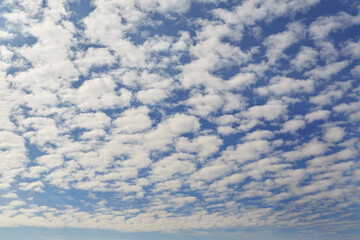 Cirrocumulus clouds in the sky with sunlight on the clouds, cloudy background, clouds resembling...