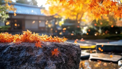 Autumn leaves on rock, Japanese garden