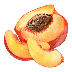 Watercolor composition with half peach with pit and two peach slices. Botanical fruit clipart. Perfect for food packaging, organic branding, kitchen prints, healthy eating, vegetarian themes
