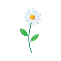 Daisy flower flat minimal vector illustration, simple white floral icon

