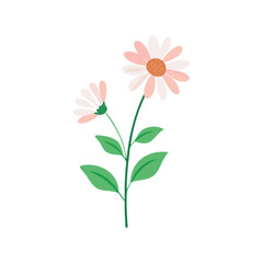 Daisy flower flat minimal vector illustration, simple white floral icon


