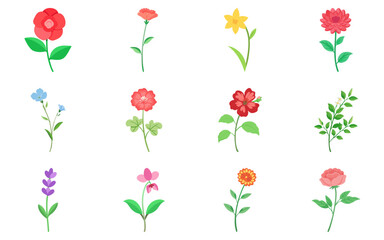Set of flowers vector illustration, colorful floral collection, spring garden plants, decorative botanical