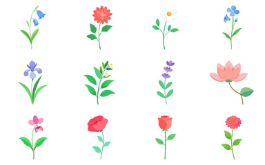 Set of flowers vector illustration, colorful floral collection, spring garden plants, decorative botanical