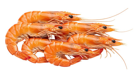 Isolated Cooked Prawns