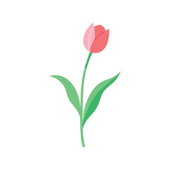 Obraz premium Tulip flower flat minimal vector illustration, simple spring floral icon, modern botanical design