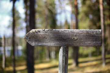 Weathered wooden signpost pointing through a quiet forest path with blurred background