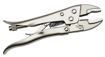 Obraz premium Isolated locking pliers