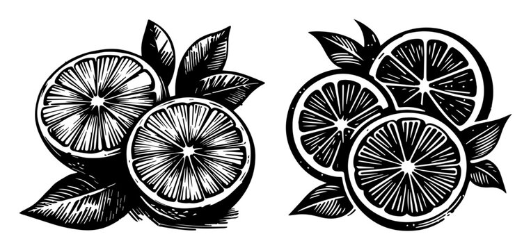 citrus slices and leaves silhouette shape vector illustration