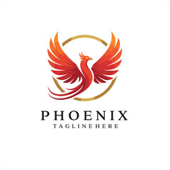 Obraz premium Phoenix logo design template. Vector Illustration