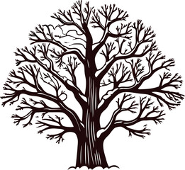 Obraz premium Intricate leafless tree silhouette with sprawling branches and detailed trunk isolated on white background illustration
