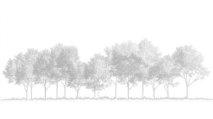 Detailed minimal vector line art of wetland forest trees shown in side elevation, suitable for architectural and landscape section drawings
