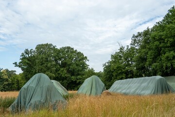 Hay bales covered with plastic film protecting from rain in a field near the forest