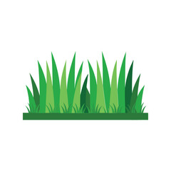 Fototapeta premium Green grass border vector illustration, fresh lawn edge, garden landscape element, nature