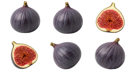 Isolated Figs
