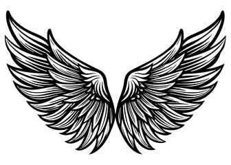 wings isolated on Silhouette Creative vector cartoon illustration