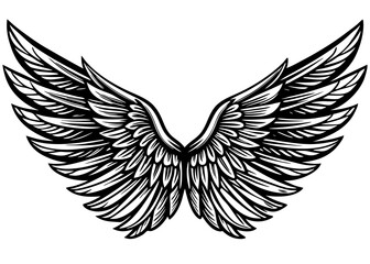 Fototapeta premium Silhouette Elegant angel wings vector illustration 