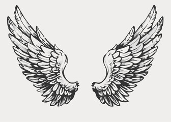 Wings white background vintage style Minimalist concept vector illustration hand draw design