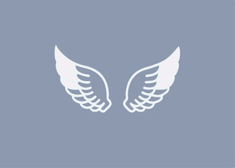 Realistic wings on transparent background