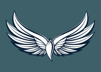 Obraz premium Wings sketch white background vector illustration hand draw design
