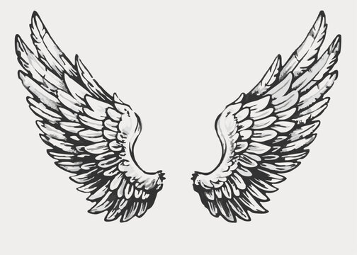 Wings white background vintage style Minimalist concept vector illustration hand draw design