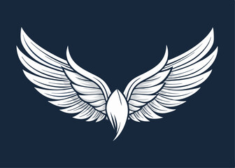 Wings sketch white background vector illustration hand draw design