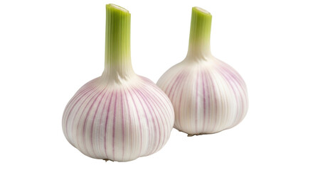 Isolated Garlic Bulbs