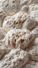 Dough rises beautifully as yeast works to create fluffy bread texture in a kitchen setting