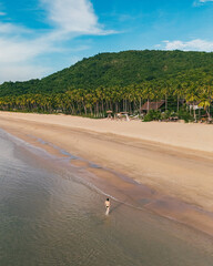 Bird's eye top aerial view of woman relaxing in sandy beach in the pristine turquoise shoreline and sweeping coastal landscape of Nacpan Beach in El Nido, Palawan, Philippines