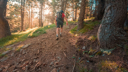 Mountain getaway to the Agujas de Lavasar, Aragonese Pyrenees, with fascinating views of the Chistau Valley and its impressive peaks, perfect for those seeking hiking adventures in a unique landscape.