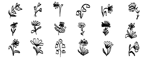 Ink Crayon Marker Gouache flowers hand drawn sketches illustrations. Dry brush stroke simple minimalistic floral doodles isolated on white for cosmetics, kid education.