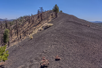 Volcanic hills in Coconino National Forest