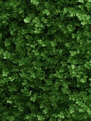 Obraz premium Lush Green Background of Vibrant Clover Leaves for Nature Designs