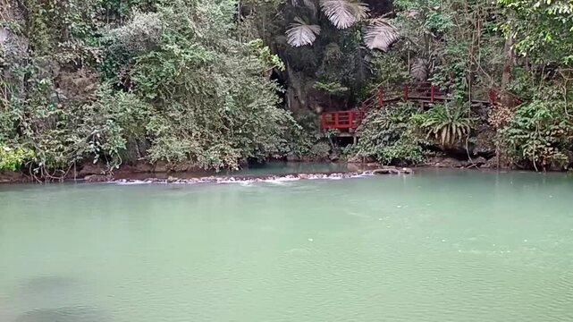 flowing water stream creek cascade waterfall in tropical forest